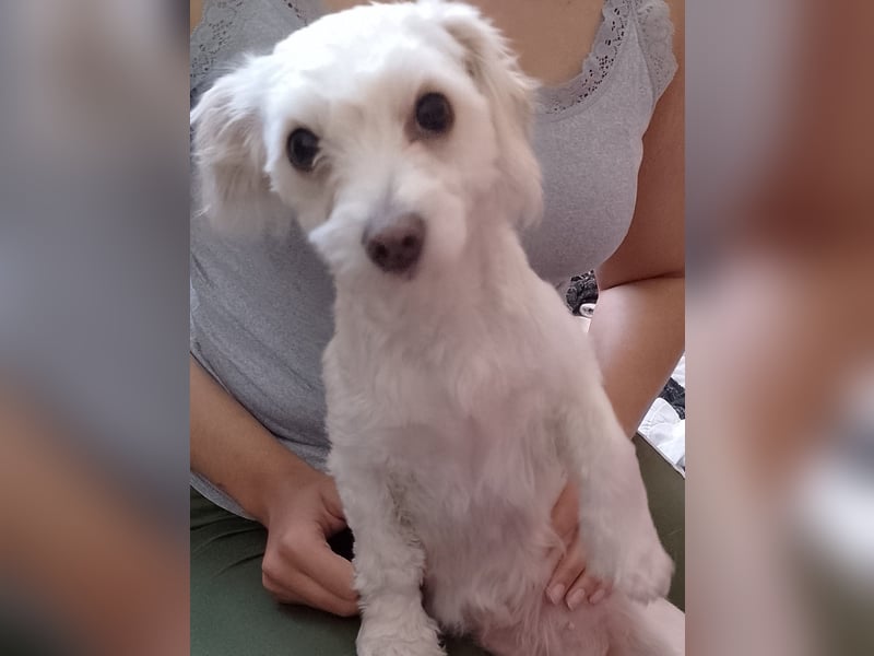 Liebevolles Zuhause gesucht