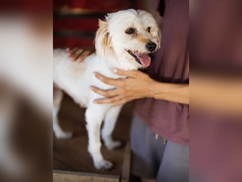 Ginny ein tapferes Mädchen