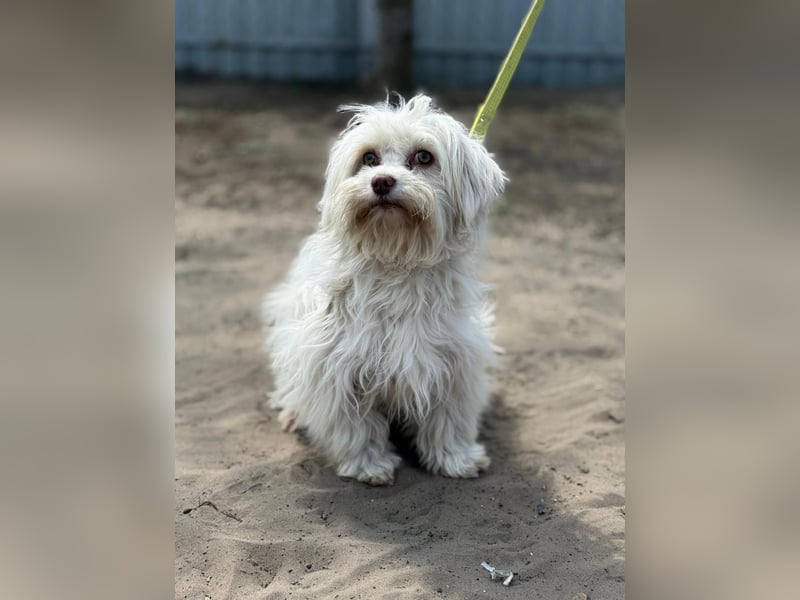 Filippa sucht Menschen, die ihr Halt geben