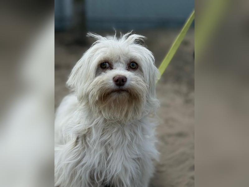 Filippa sucht Menschen, die ihr Halt geben