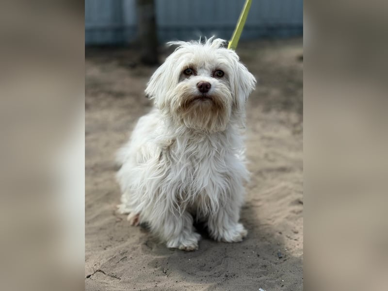 Filippa sucht Menschen, die ihr Halt geben