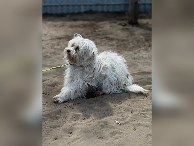 Filippa sucht Menschen, die ihr Halt geben