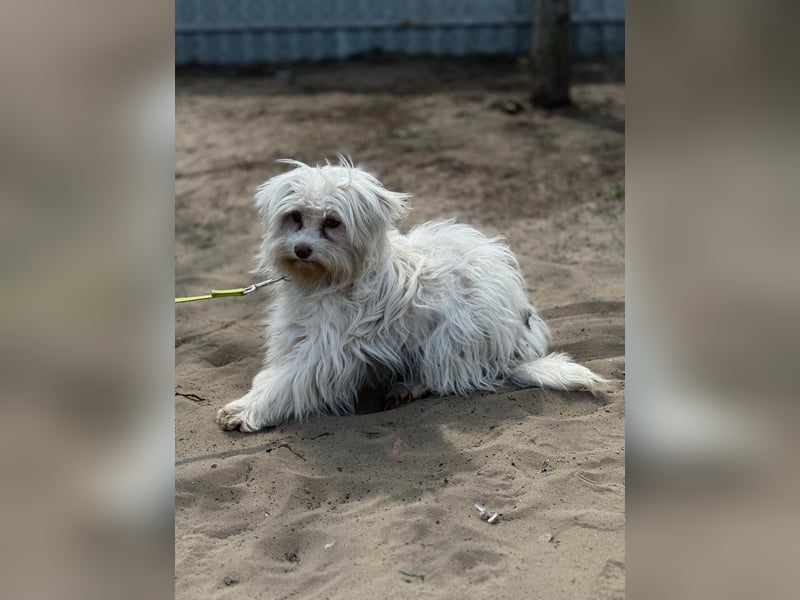 Filippa sucht Menschen, die ihr Halt geben