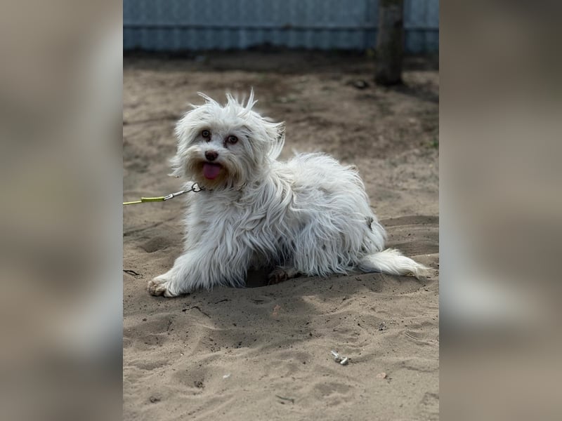 Filippa sucht Menschen, die ihr Halt geben