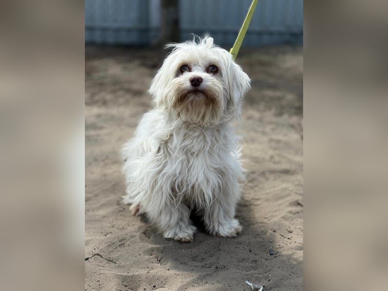 Filippa sucht Menschen, die ihr Halt geben