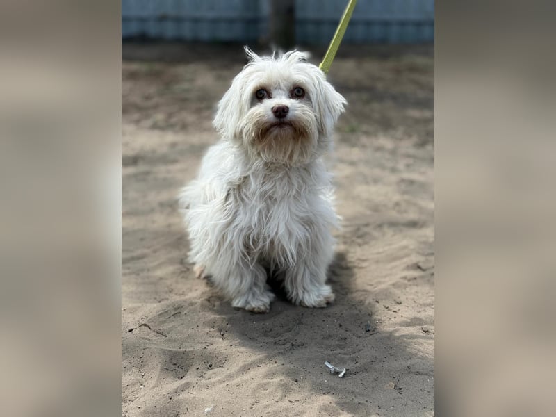 Filippa sucht Menschen, die ihr Halt geben