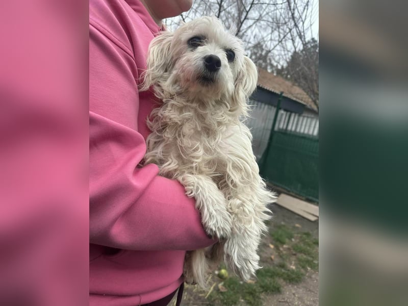 Panna, geboren 05.04.2023, 28cm sucht ihr Glück