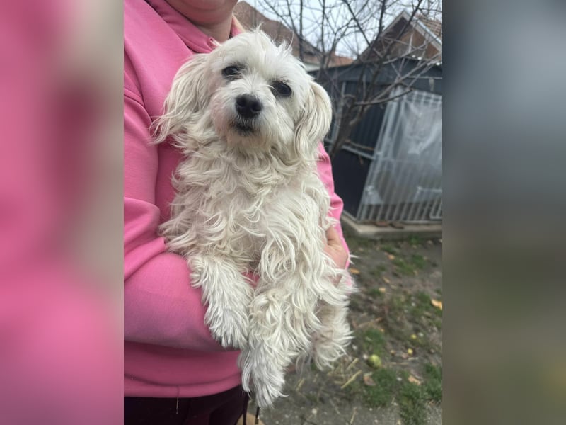 Panna, geboren 05.04.2023, 28cm sucht ihr Glück