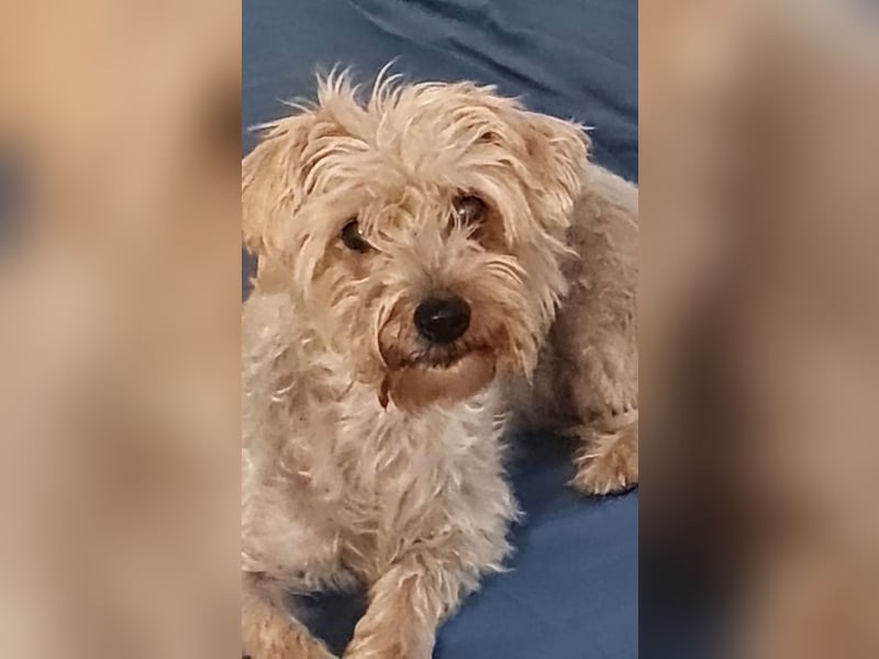 Itzel sucht geduldige und einfühlsame Familie
