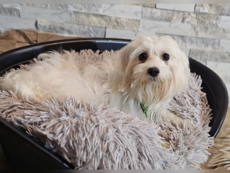 Wer hilft Lubert Vertrauen aufzubauen?