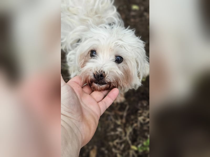 Isabell hat ein liebevolles Wesen