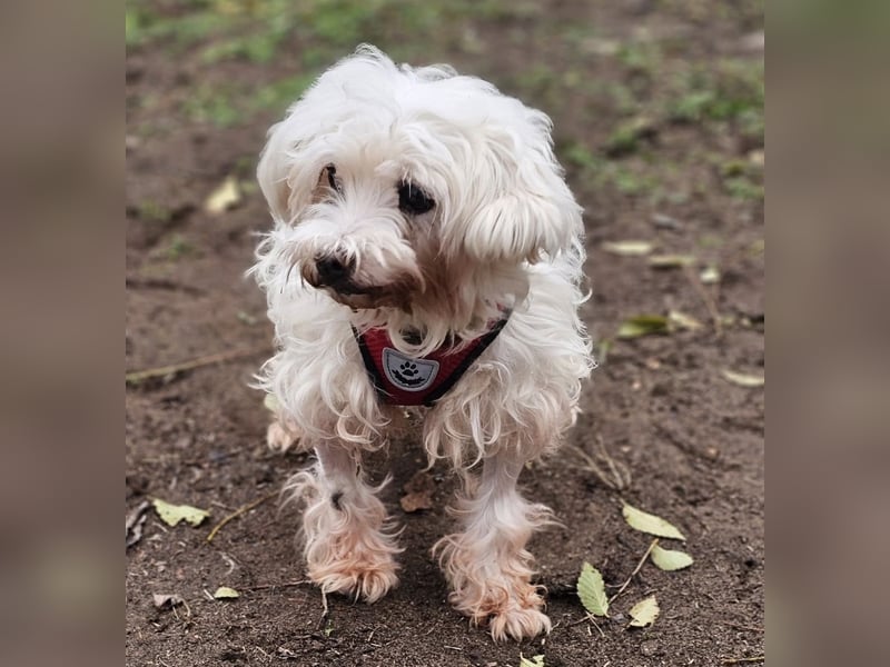 Isabell hat ein liebevolles Wesen