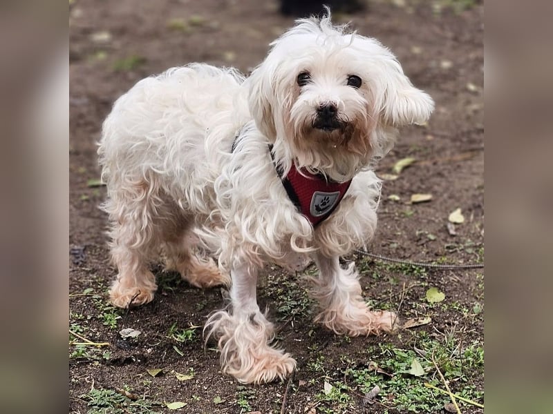 Isabell hat ein liebevolles Wesen