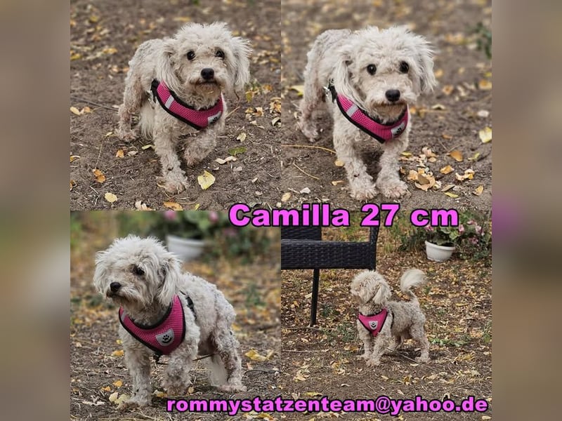 Die kleine Camilla wurde ausgemustert