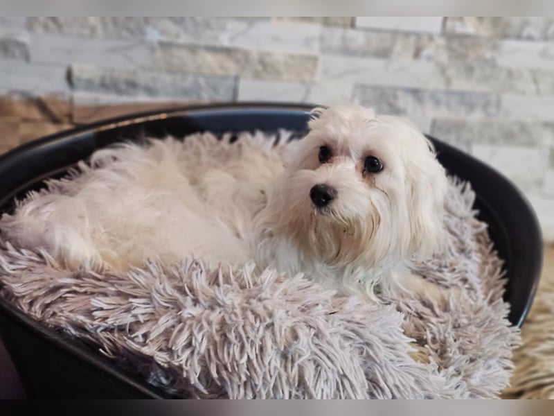 Wer hilft Lubert Vertrauen aufzubauen?