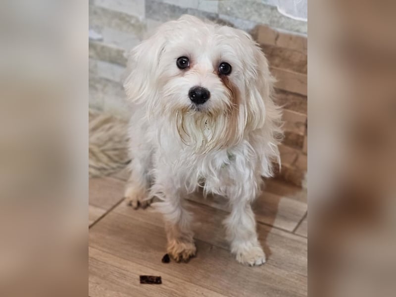 Wer hilft Lubert Vertrauen aufzubauen?