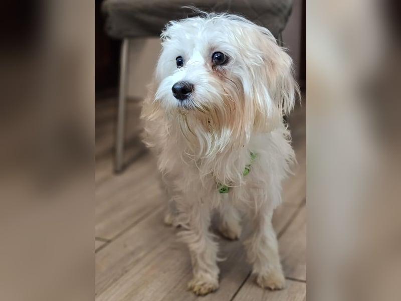 Wer hilft Lubert Vertrauen aufzubauen?