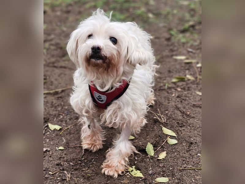 Isabell hat ein liebevolles Wesen