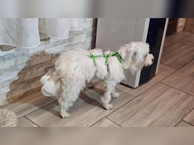 Wer hilft Lubert Vertrauen aufzubauen?