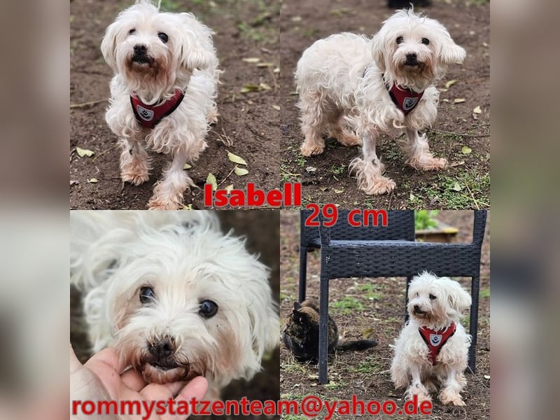 Isabell hat ein liebevolles Wesen