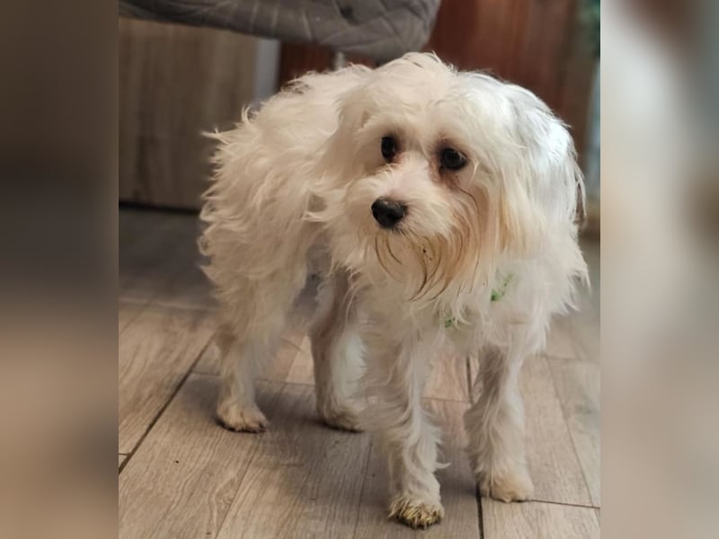 Wer hilft Lubert Vertrauen aufzubauen?