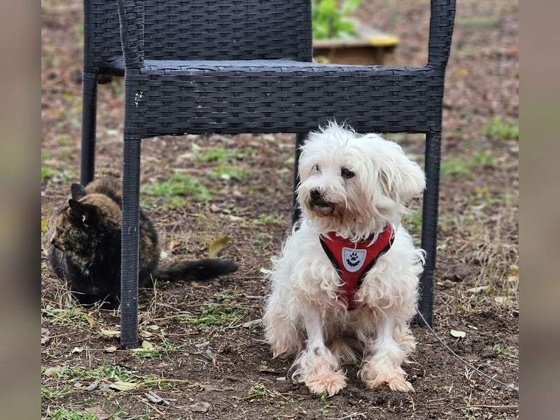 Isabell hat ein liebevolles Wesen