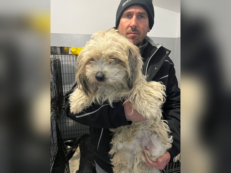 Monty sucht sein Glück