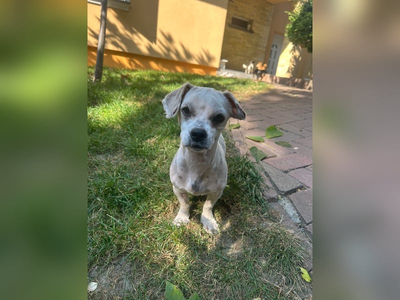 Kleine Polly freut sich auf Deinen Besuch