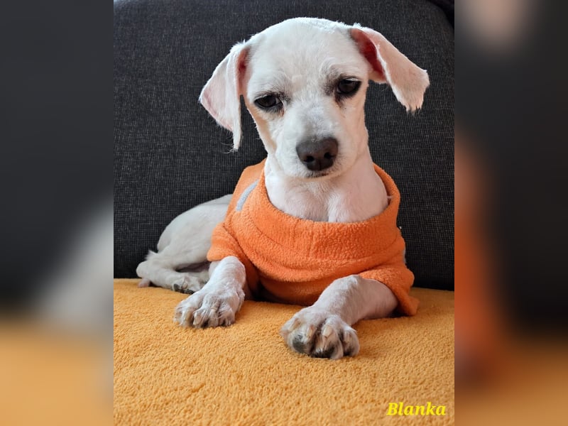 Kleine Blanka freut sich auf Deinen Besuch