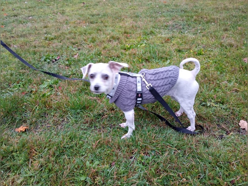 Fibi freut sich auf Deinen Besuch