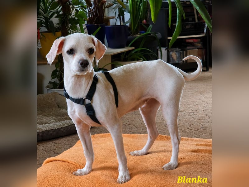 Kleine Blanka freut sich auf Deinen Besuch