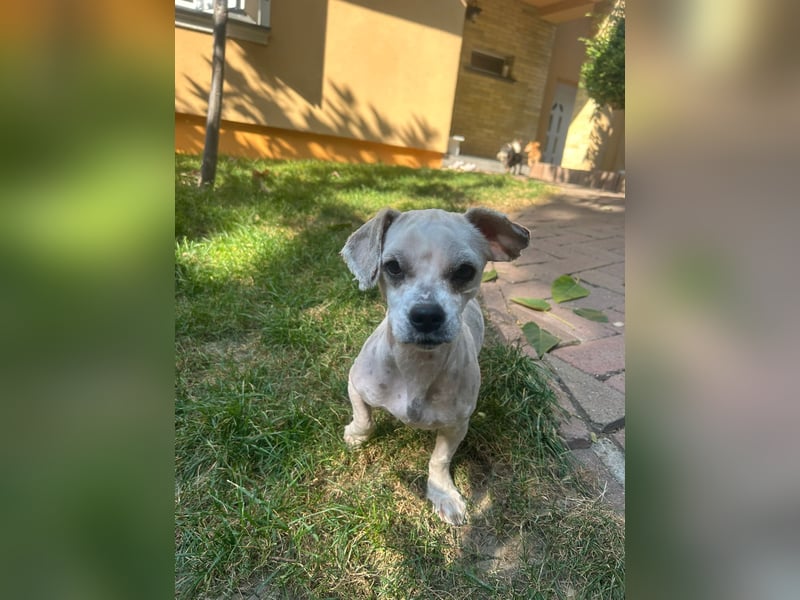 Kleine Polly freut sich auf Deinen Besuch