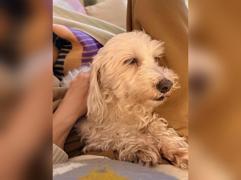 Kleine Lilou ist so anhänglich