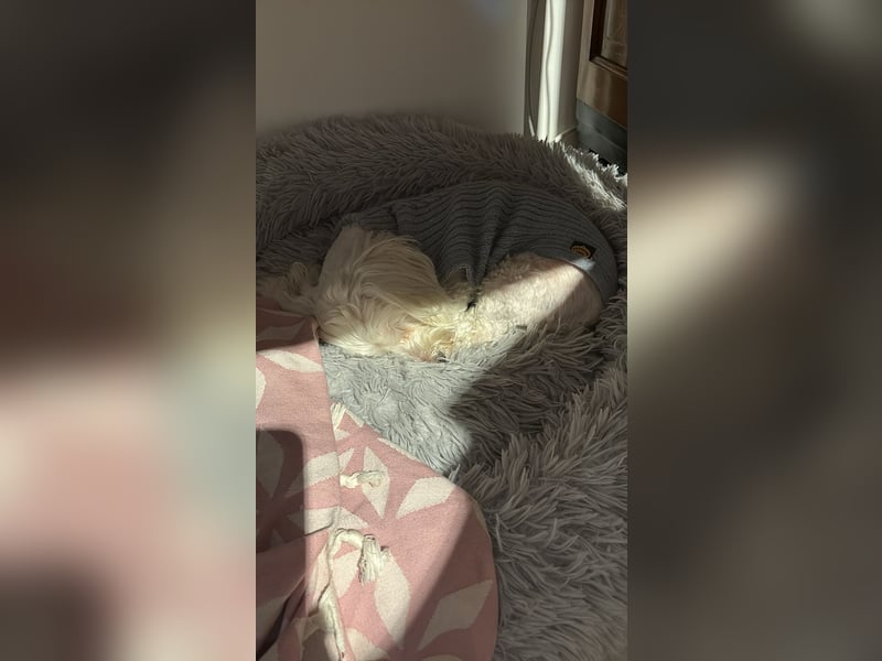 Kleine Lilou ist so anhänglich