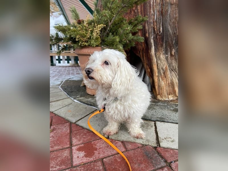 Kleine Lilou ist so anhänglich