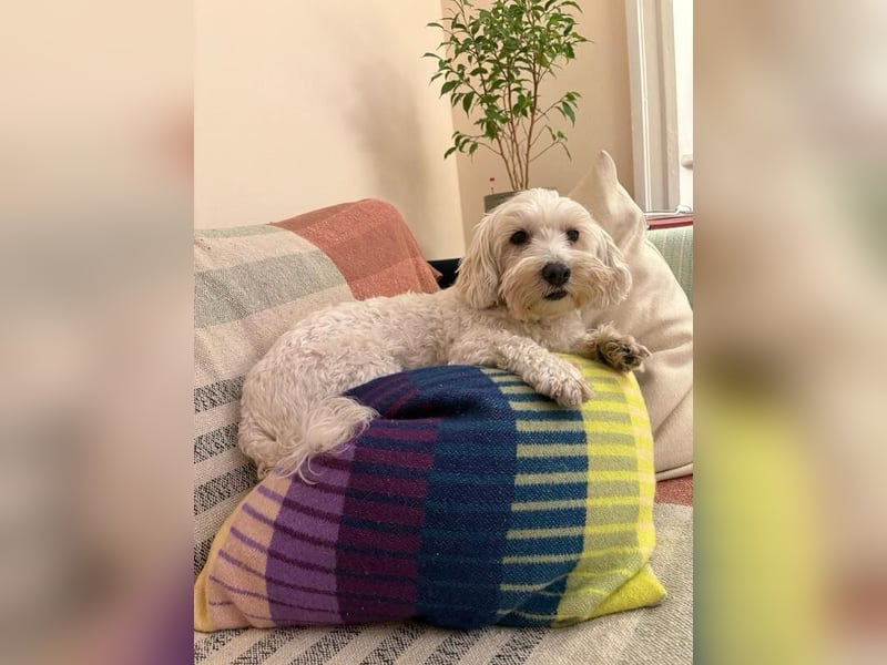 Kleine Lilou ist so anhänglich