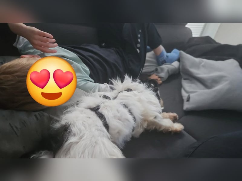 MILO auf der Suche nach seinem liebevollen Für-immer-Zuhause