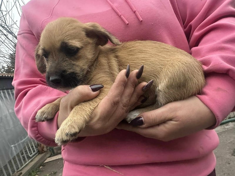 Zoe, geboren 13.10.2025 sucht ihr Zuhause