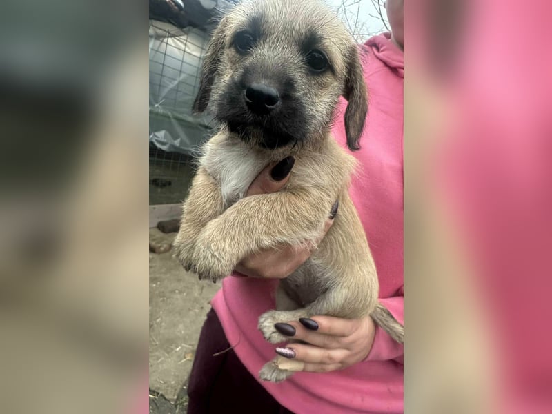 Elza, geboren 13.10.2025 sucht ihr Körbchen