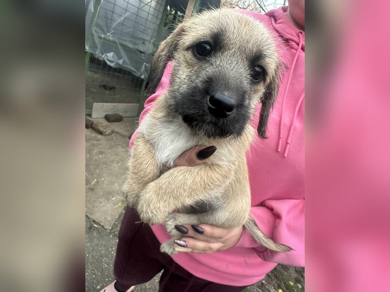 Elza, geboren 13.10.2025 sucht ihr Körbchen