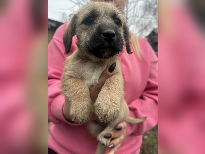 Elza, geboren 13.10.2025 sucht ihr Körbchen