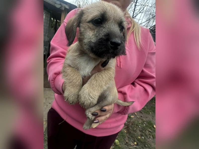 Elza, geboren 13.10.2025 sucht ihr Körbchen