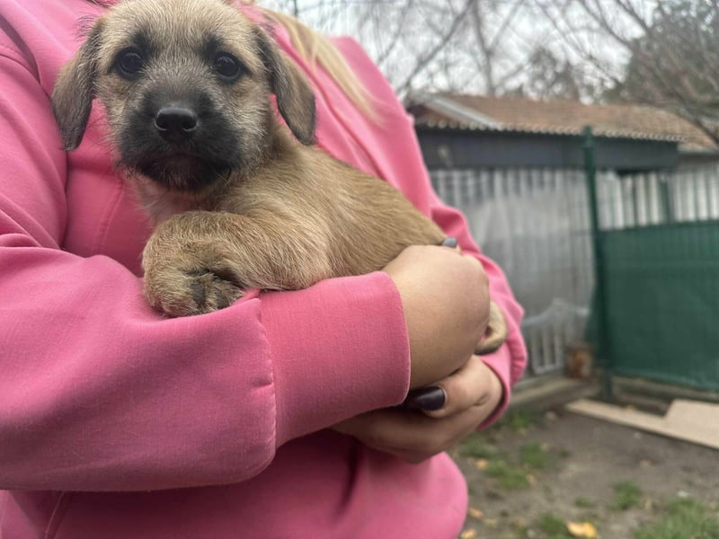 Elza, geboren 13.10.2025 sucht ihr Körbchen