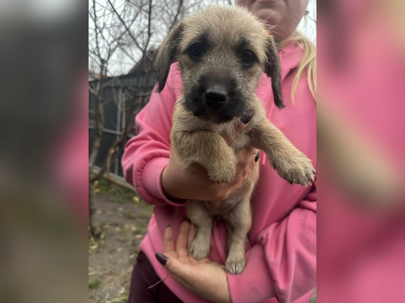Elza, geboren 13.10.2025 sucht ihr Körbchen
