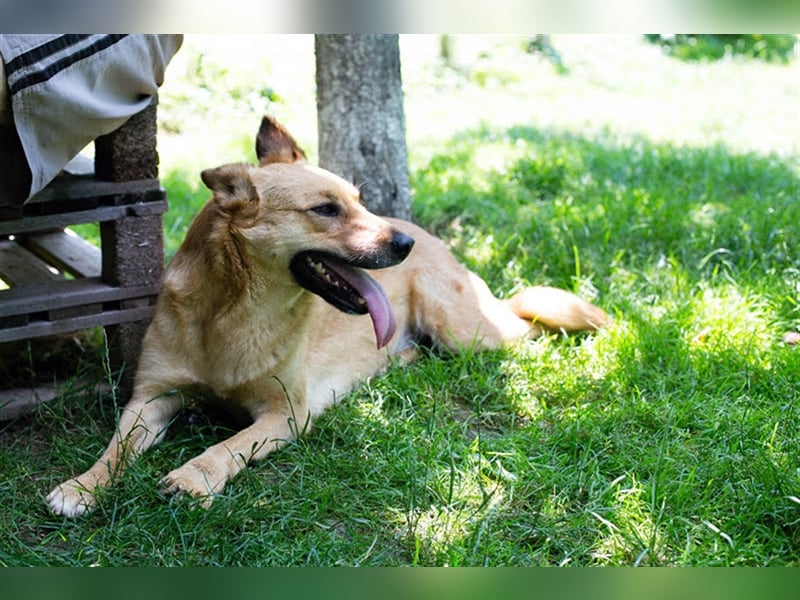 Butterfly – Bereit für die Metamorphose
