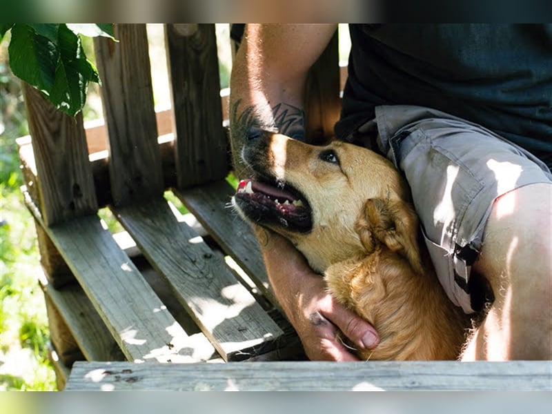 Butterfly – Bereit für die Metamorphose