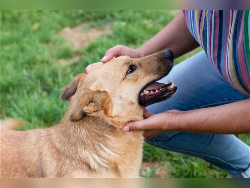 Butterfly – Bereit für die Metamorphose