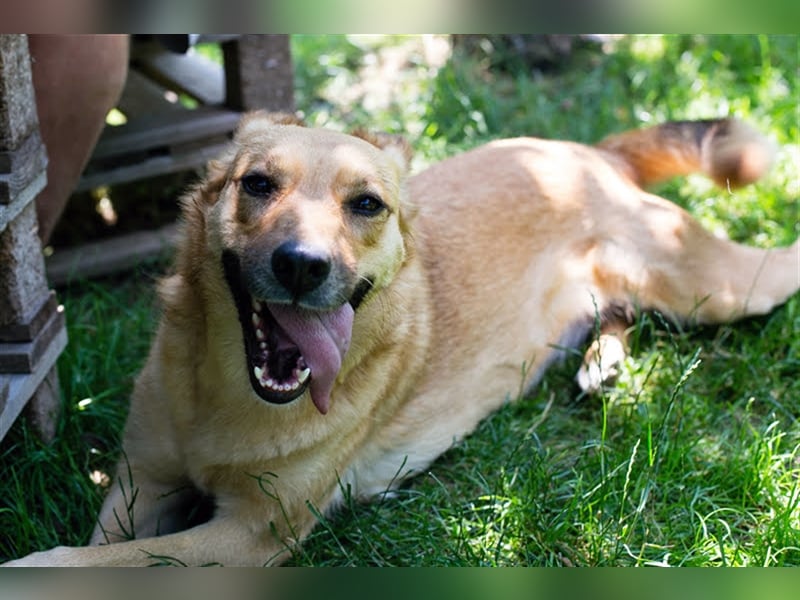 Butterfly – Bereit für die Metamorphose