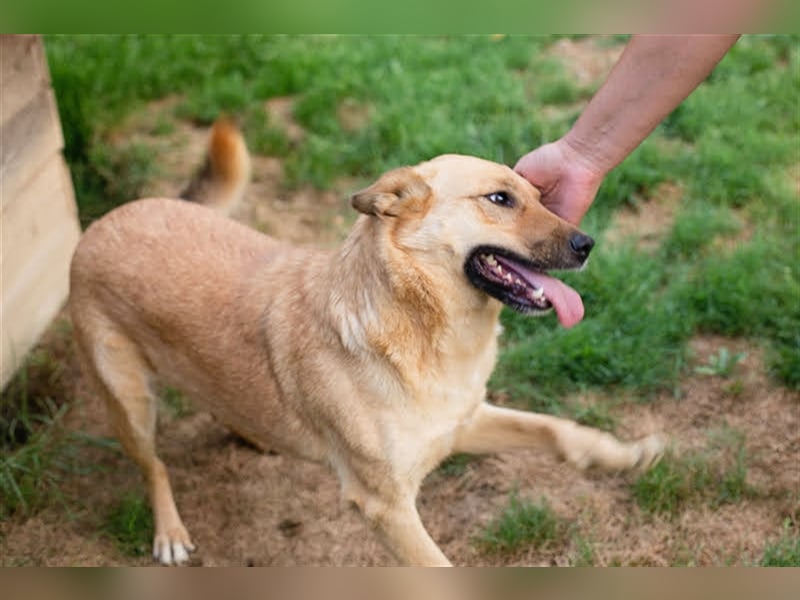 Butterfly – Bereit für die Metamorphose