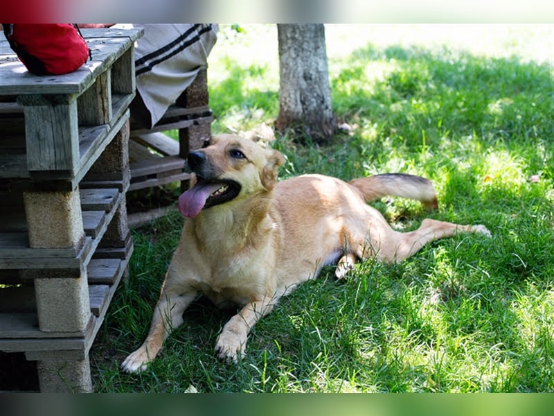 Butterfly – Bereit für die Metamorphose